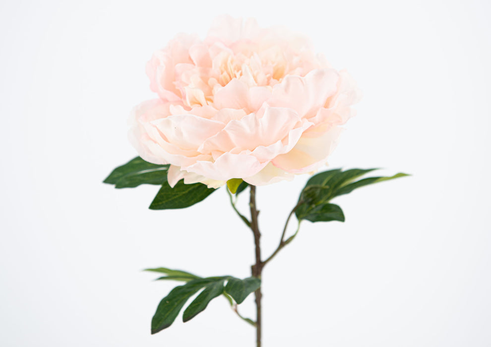 Fiore artificiale peonia rosa h 63 cm