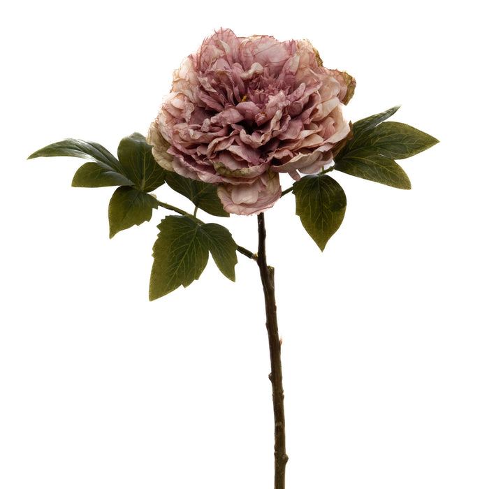 Fiore Artificiale Peonia Vintage Anglaise Rosa malva H 46 Cm