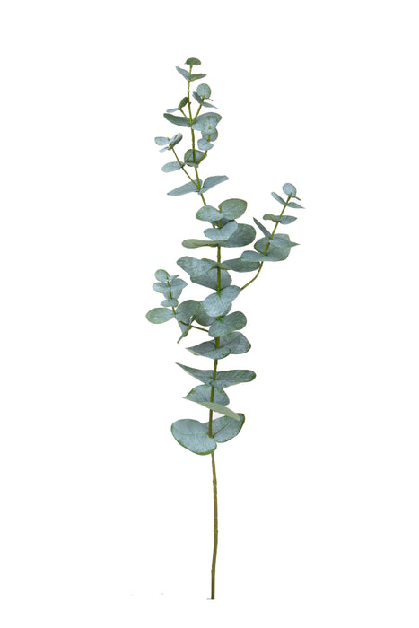 Ramo di eucalipto artificiale 75 cm