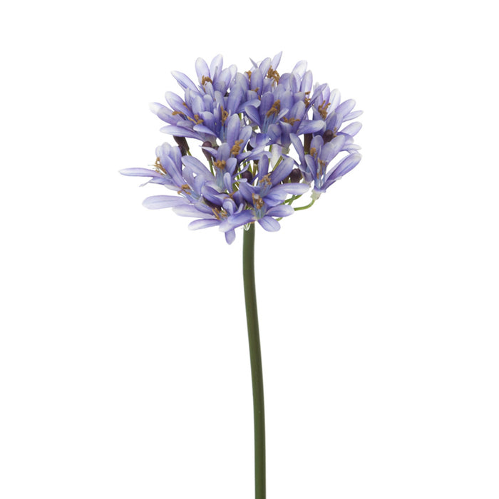 Agapantus 73 73 cm fiore artificiale