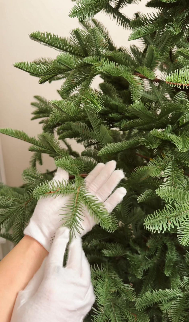 Albero Rockefeller 180 cm di Salvatore Izzo – Realistico. PREORDINE