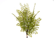 Bouquet Artificiale Felce H 44 Cm - Arredo Casa da Sogno