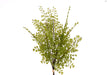 Bouquet Artificiale Felce H 44 Cm - Arredo Casa da Sogno