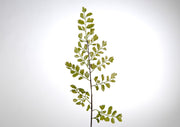 Bouquet Artificiale Felce H 44 Cm - Arredo Casa da Sogno