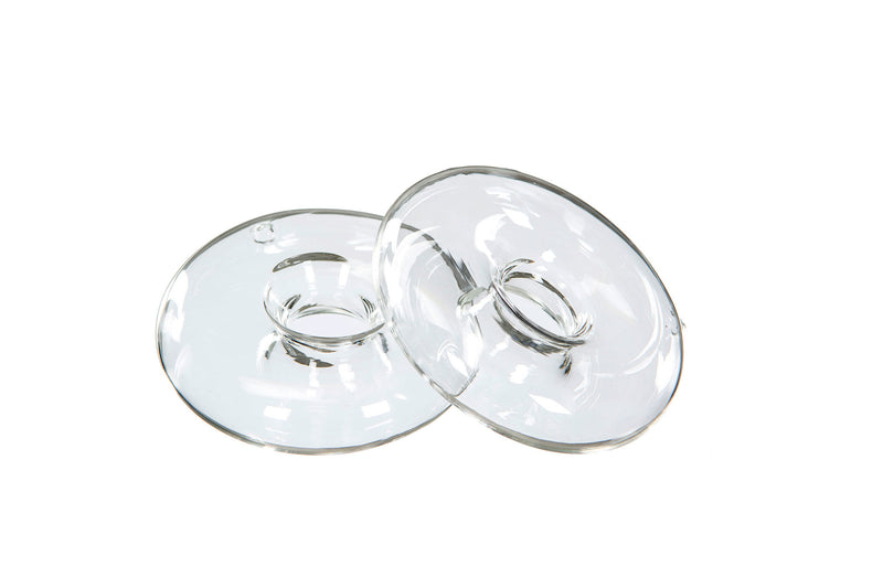 Anello Galleggiante in Vetro per Fiori 6x22 cm