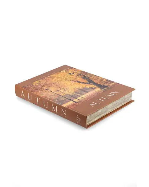 Libro contenitore autunnale in legno 28,5 x 22 x 4 cm