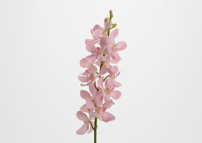 Ramo di orchidea vanda rosa - Arredo Casa da Sogno