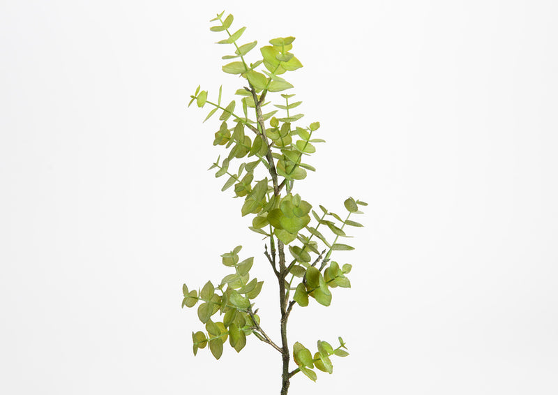 Fiore artificiale eucaliptus baby - Arredo Casa da Sogno