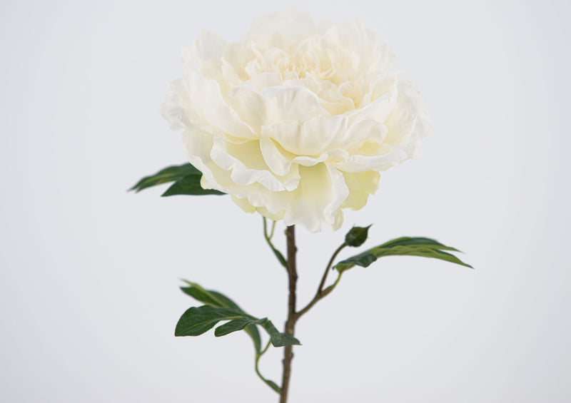 Fiore artificiale peonia h 63 bianca - Arredo Casa da Sogno