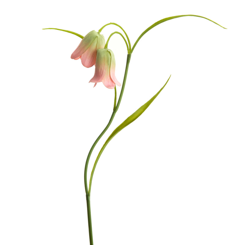 Fiore artificiale fritillaria h39 rs/vr - Arredo Casa da Sogno