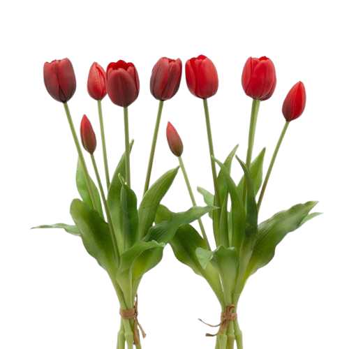 Bouquet 5 Tulipani olis Rosso H 40 cm - EDG