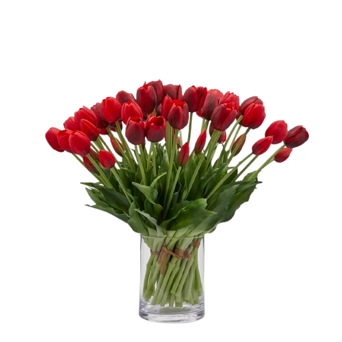 Bouquet 5 Tulipani olis Rosso H 40 cm - EDG