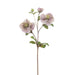 Fiore Artificiale Hellebore H 55 Cm Lou De Castellane - Arredo Casa da Sogno