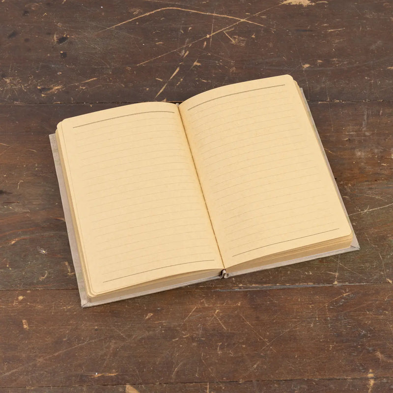 Libro cerbiatto