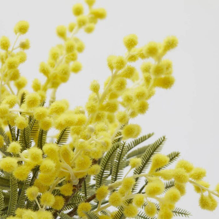 Mazzo di Mimosa 3 Rami H 39 cm Edg