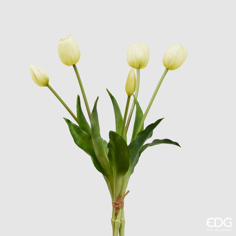 Bouquet 5 Tulipani olis Bianco H 40 cm Edg