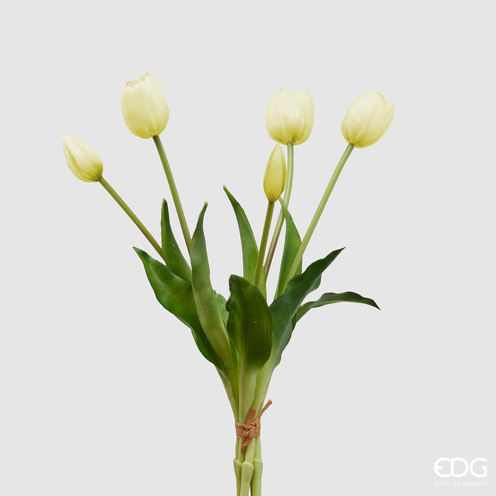 Bouquet 5 Tulipani olis Bianco H 40 cm Edg