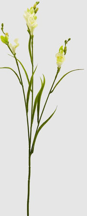 Fiore artificiale fresia rex h65 - Arredo Casa da Sogno