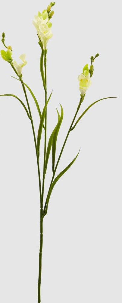 Fiore artificiale fresia rex h65 - Arredo Casa da Sogno