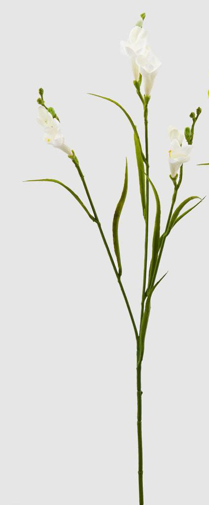 Fiore artificiale fresia rex h65 - Arredo Casa da Sogno