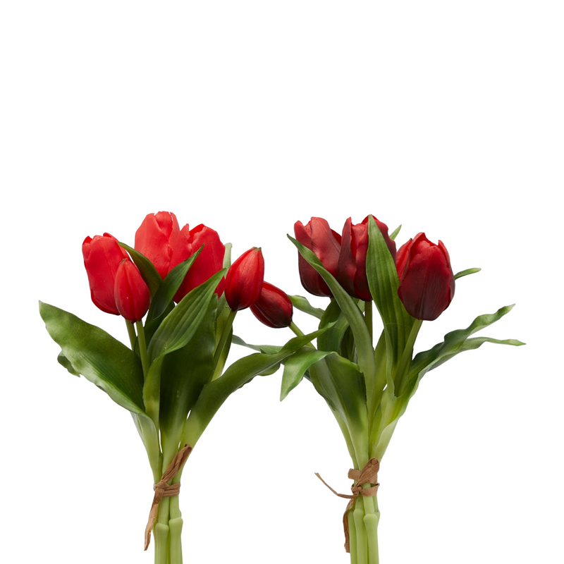 Bouquet 5 Tulipani olis Rosso - EDG