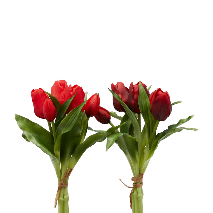 Bouquet 5 Tulips olis Red H 40 cm - EDG