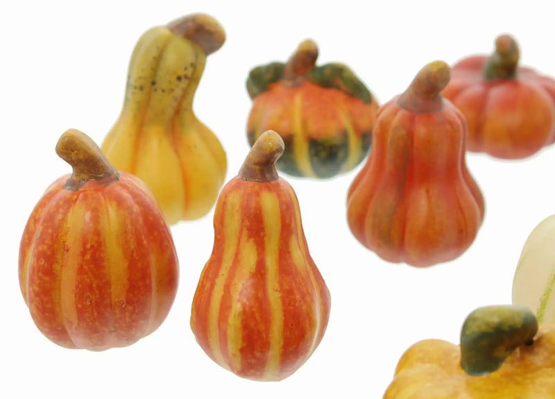 Set 12 zucche decorative in terracotta
