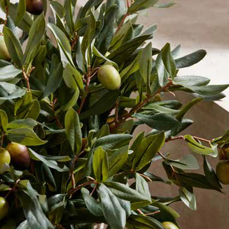 Mazzo di Ulivo con Olive H41 cm Edg