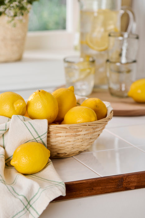 Strofinaccio da Cucina Eskild a Scacchi Verde Ib laursen