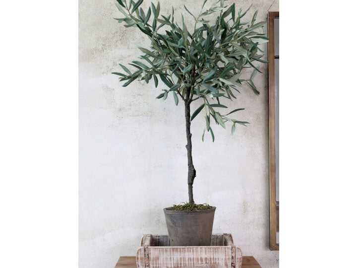 Fleur Olive Tree in fioriera in ceramica CHIC ANTIQUE