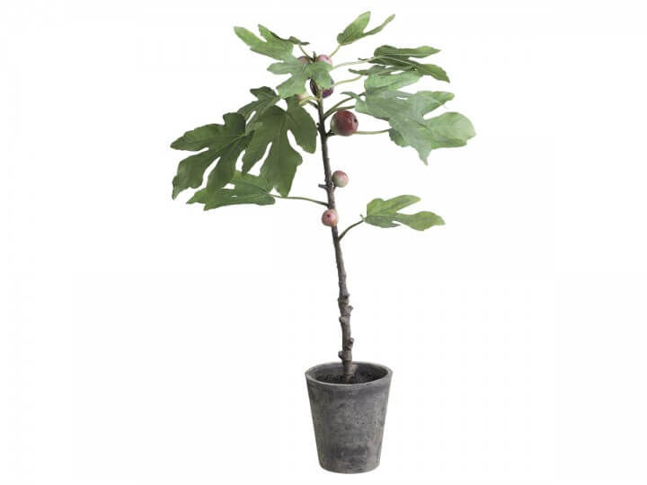 Fico Fleur in fioriera in ceramica - Arredo Casa da Sogno