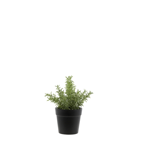 Rosmarino Artificiale in Vaso Chic Antique  24x17 cm