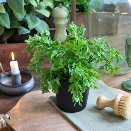 Chic Antique Artificial Parsley