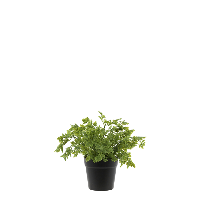 Chic Antique Artificial Parsley