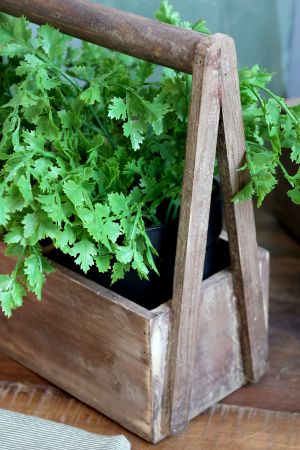 Chic Antique Artificial Parsley