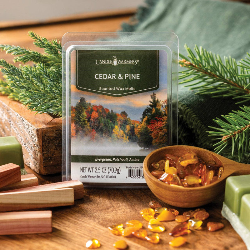 Cera Profumata Cedar & Pine – Pino, Patchouli e Ambra – Candle Warmers 70 g