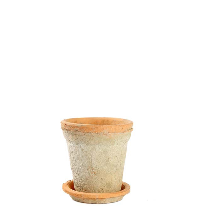 Vaso con piattino H 14 cm