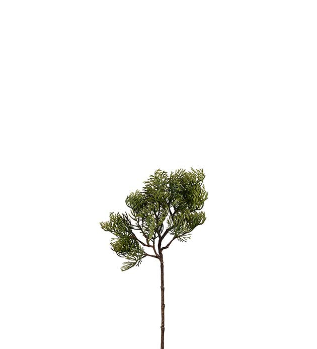 Cypress branch H 45 cm