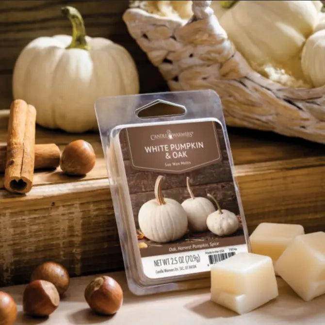 Cera profumata 70 g White Pumpkin Candle warmers