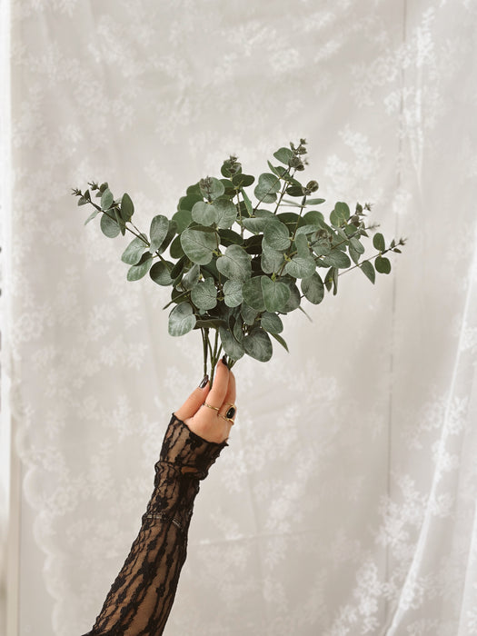 Eucalyptus Bush H 50 cm Edg