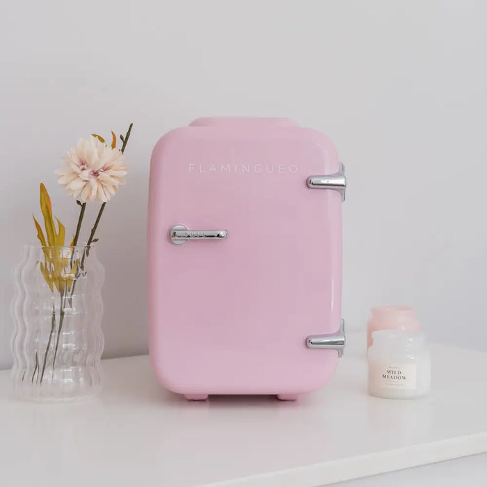 Mini frigorifero portatile retrò rosa 4L con spina europea