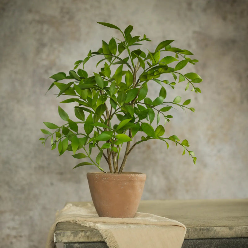 Pianta Artificiale Smilax in Vaso 40,6 cm