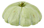 Zucca Duke d.20 h.10 Edg - Arredo Casa da Sogno