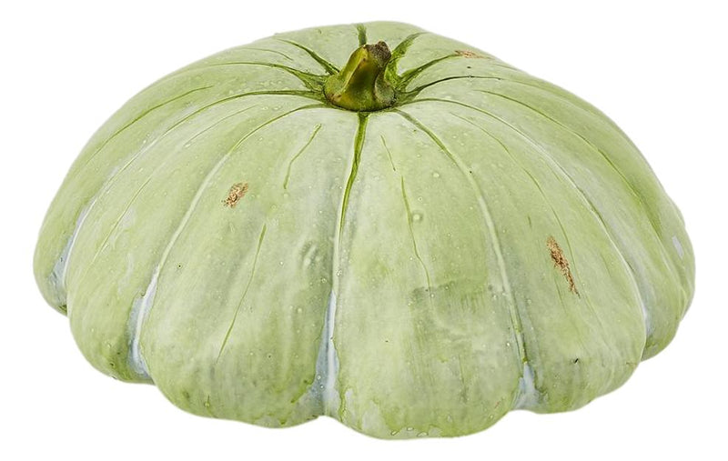 Zucca Duke d.20 h.10 Edg - Arredo Casa da Sogno