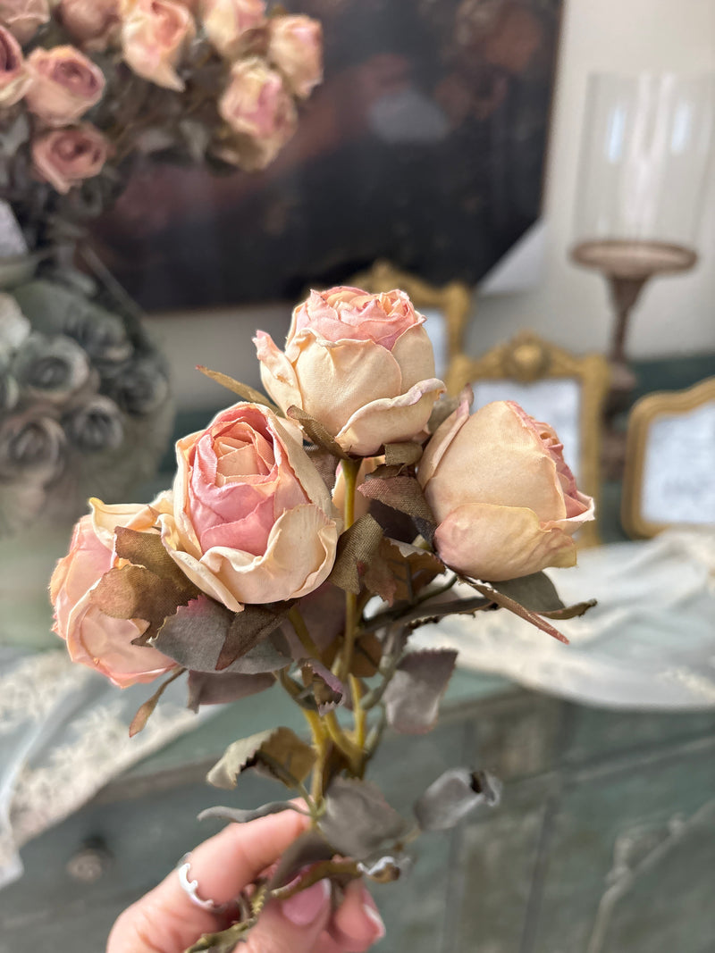 Rosa Blanc Mariclò Florileggio 43 cm