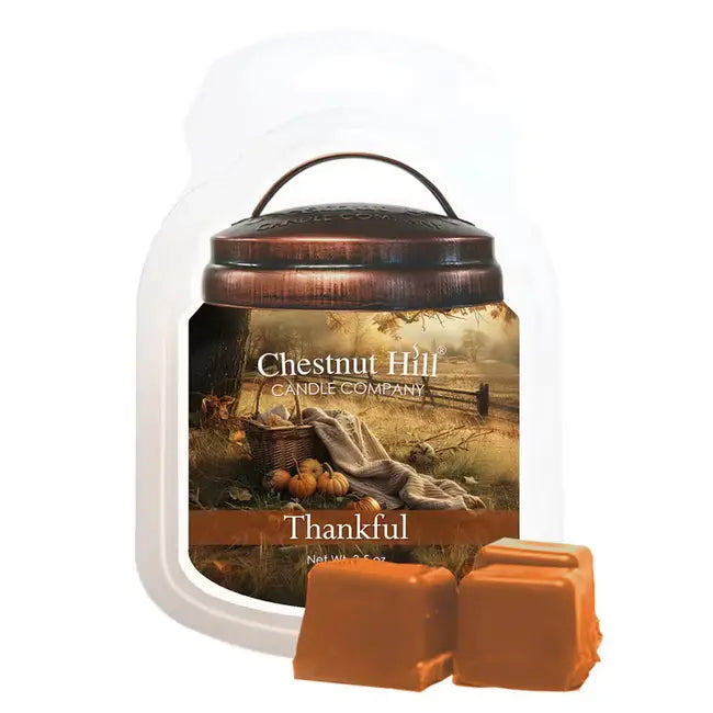 Cera profumata 99 g Thankful Chestnut Hil