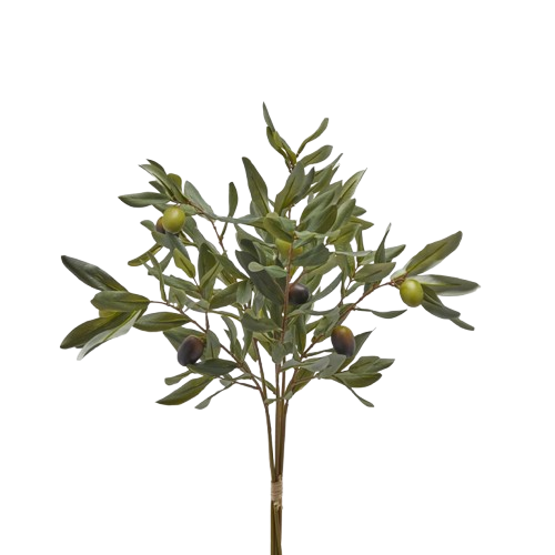 Mazzo di Ulivo con Olive H41 cm Edg