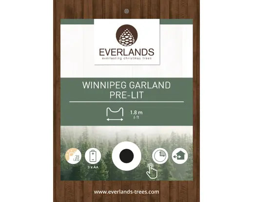 Ghirlanda natalizia con luci