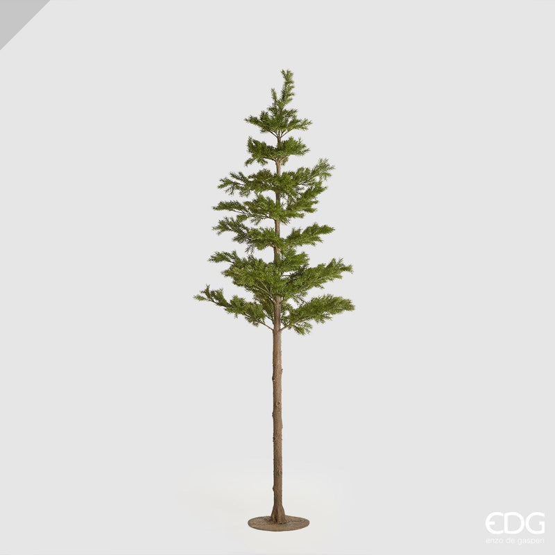 Albero di Natale Pino West Tronco Lungo 216 cm – Enzo De Gasperi
