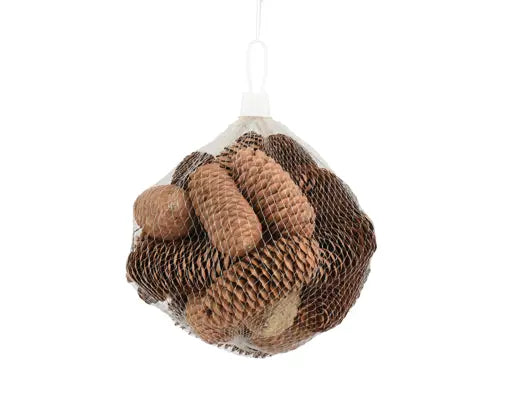 Set Decorativo Naturale con Pigne e Frutti Secchi